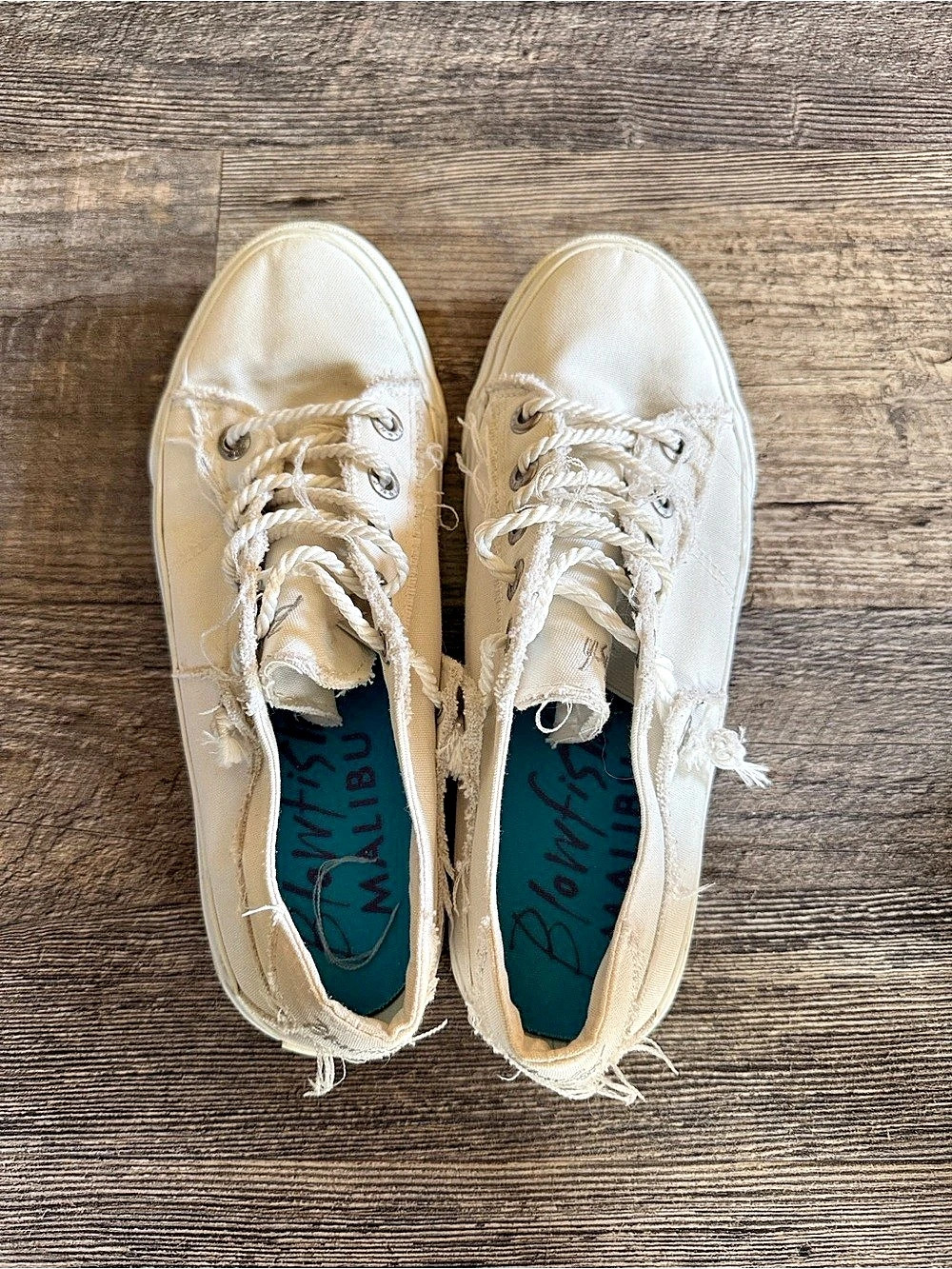 Blowfish Canvas Sneakers in White